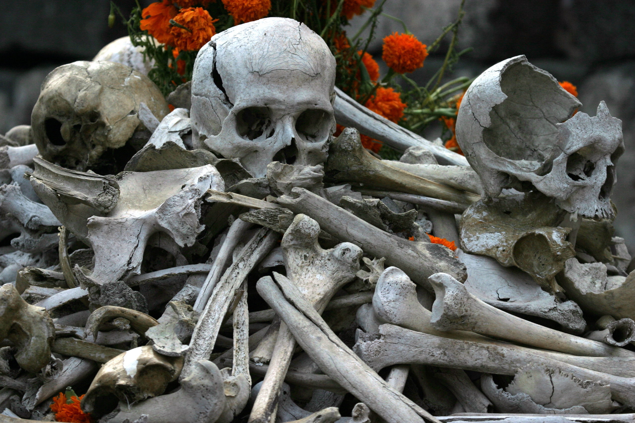 Altar con huesos