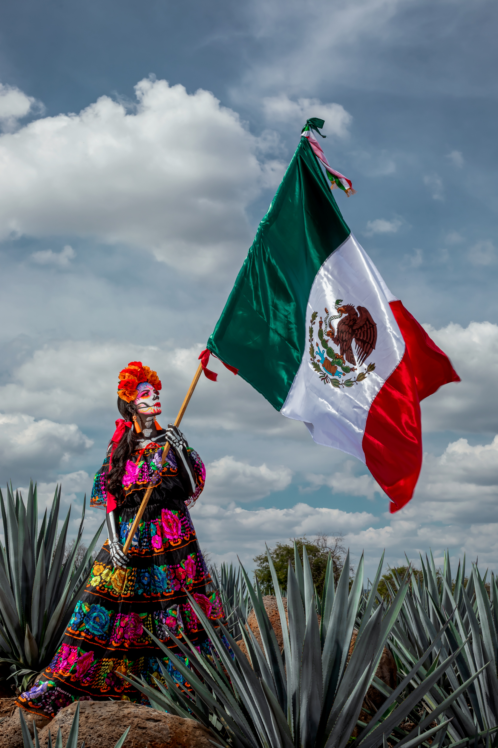 Catrina Viva México.